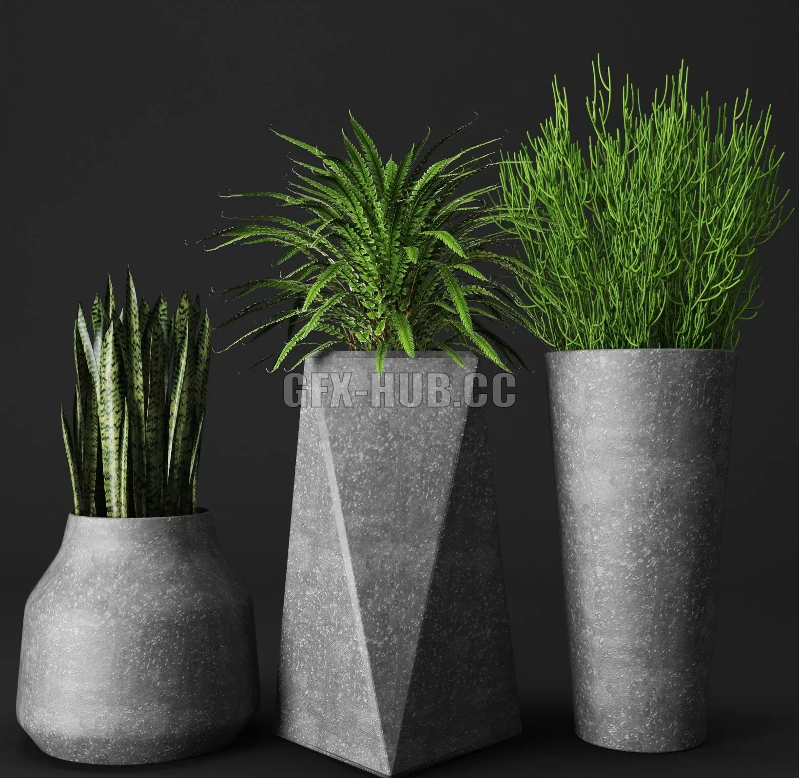 Set of concrete pots with plants – 224803