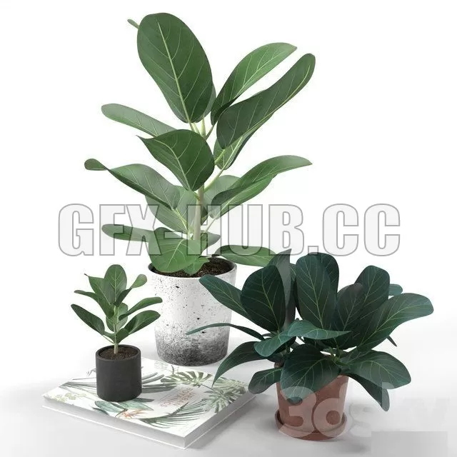 Set of plants 01 – 224835