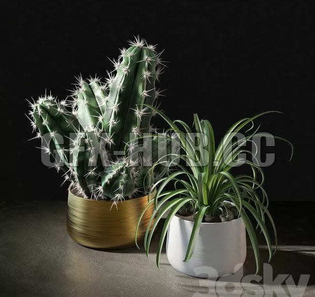 Set of plants 02 – 224837