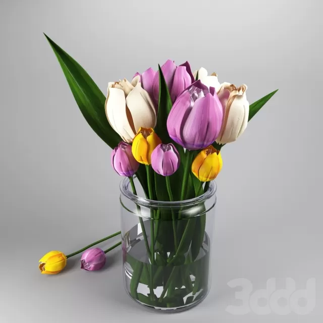 tulips – 227583