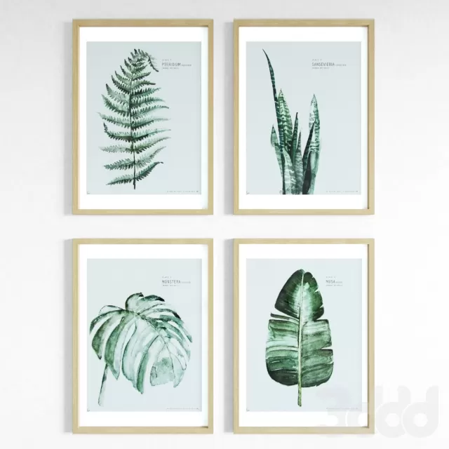 Urban Botanic Set_1 – 227749