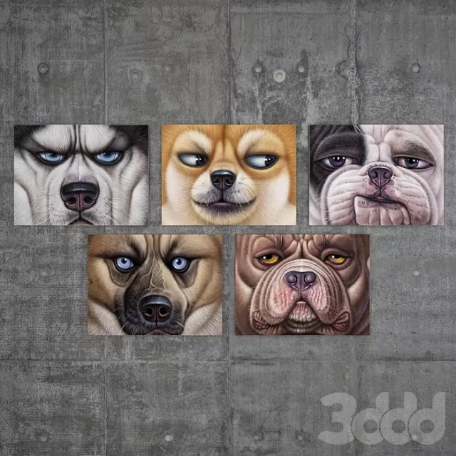 What a dog’s head – 228665