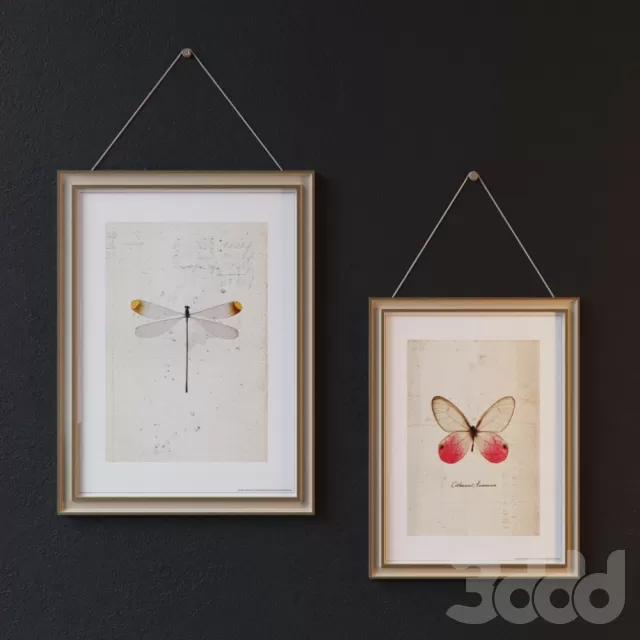 White Frames – 228691