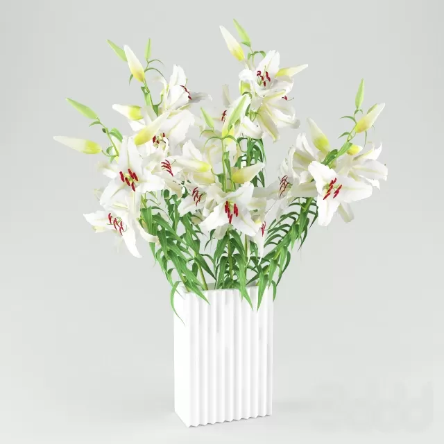 Белые лилии – 229655