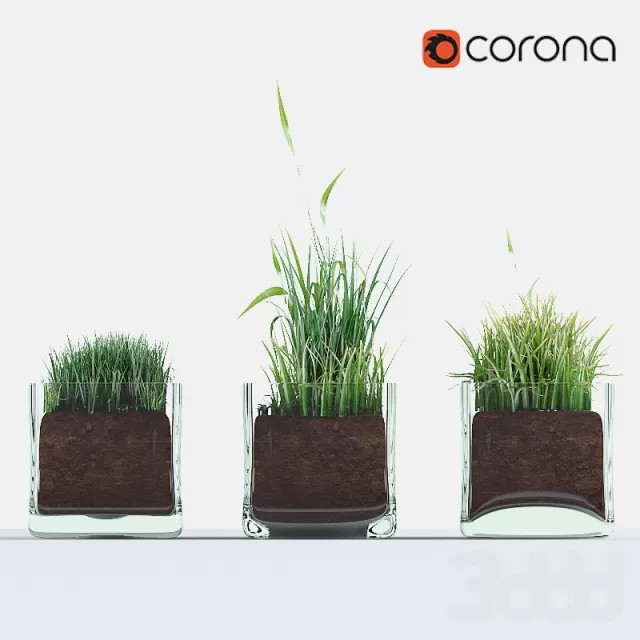 Декоративные стеклянные вазы – 230969