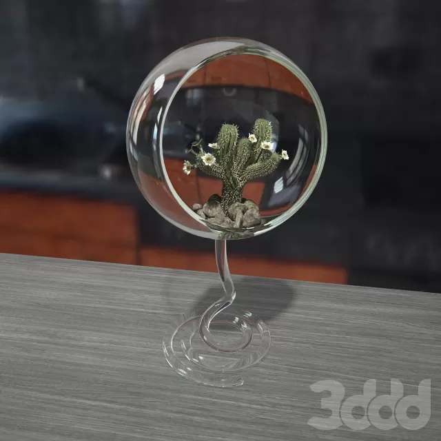 Кактус в эко вазе – 232099