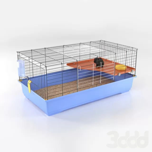 Морская свинка скинни – 235587