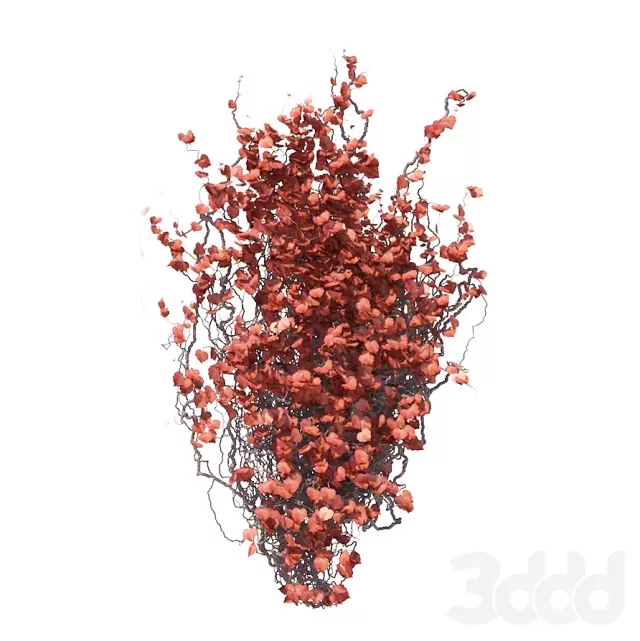 Осенний плющ V2 – 236419