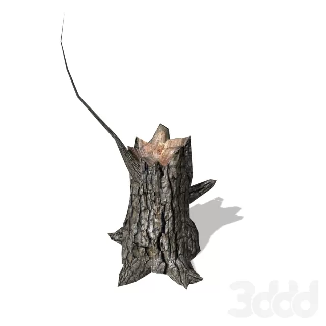 Пень – Stump – 00013 – 236583