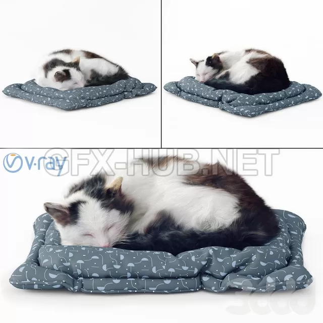 Пушистый кот – 237401