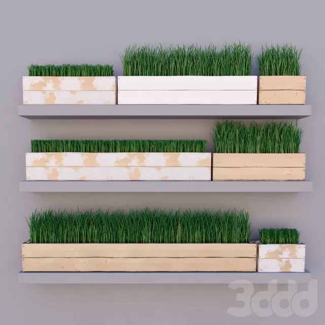 Трава в ящике – 239607