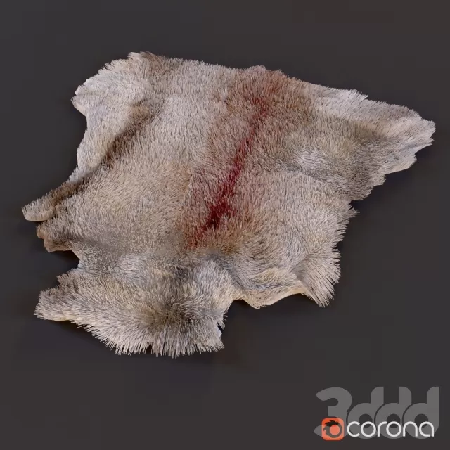 Шкура волка – 240513