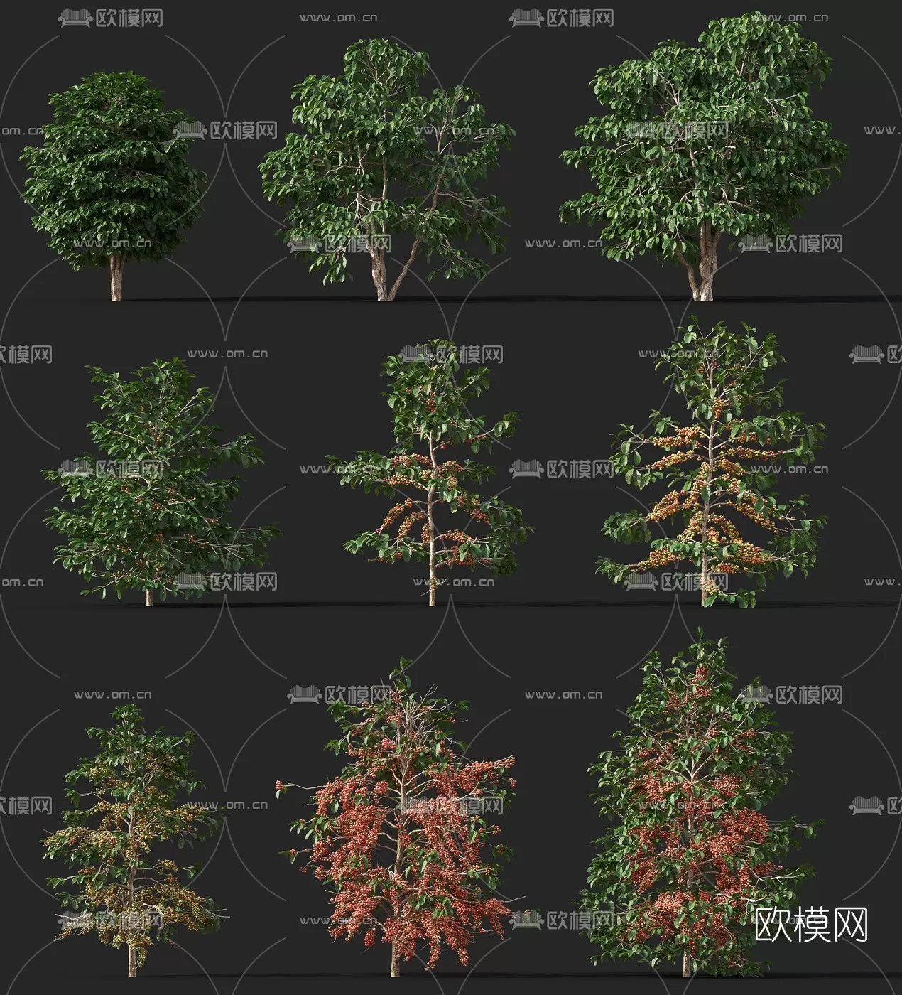 TREE – PLANTS – 3DS MAX MODELS – 002 – PRO