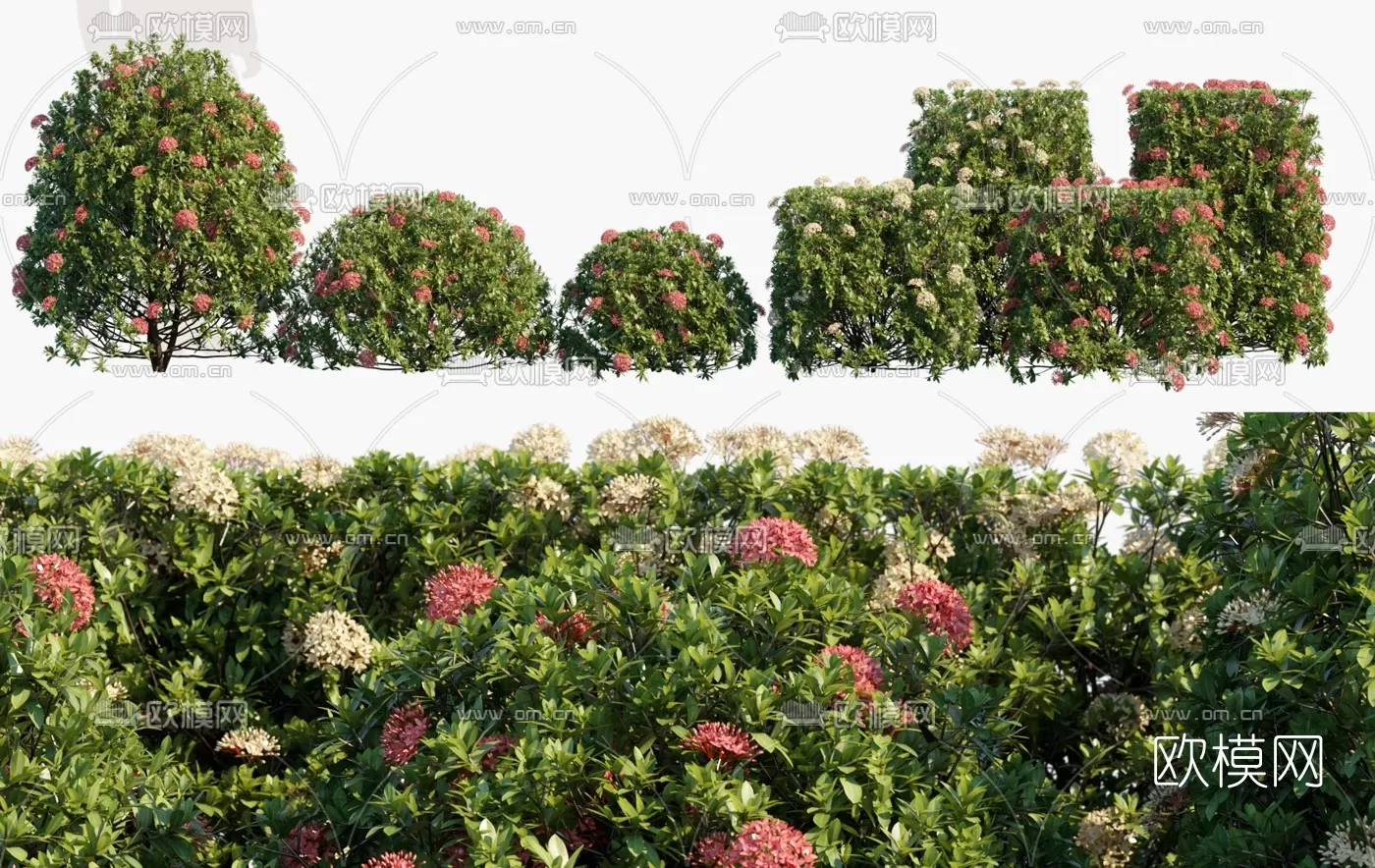 TREE – PLANTS – 3DS MAX MODELS – 013 – PRO