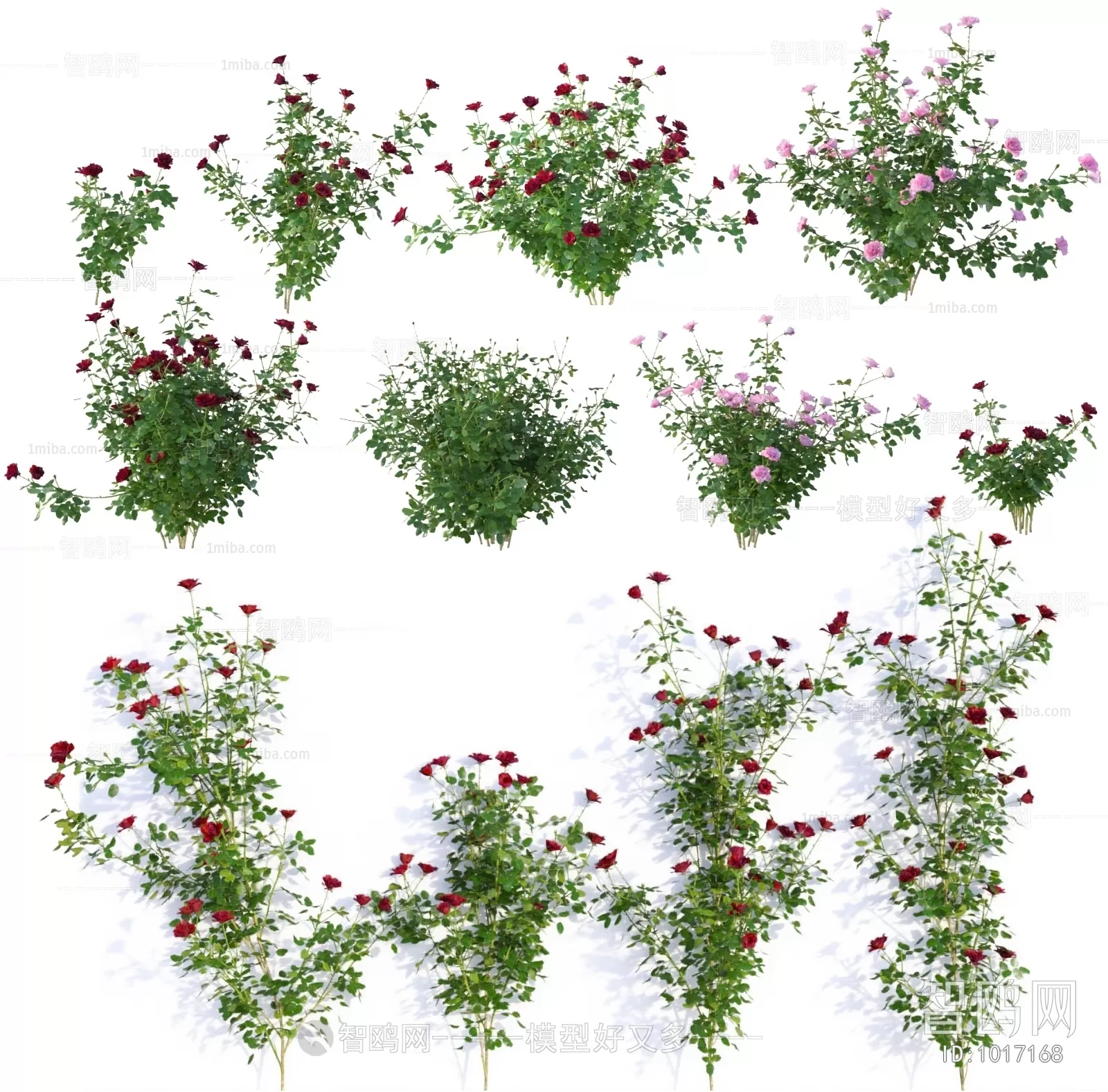 TREE – PLANTS – 3DS MAX MODELS – 014 – PRO