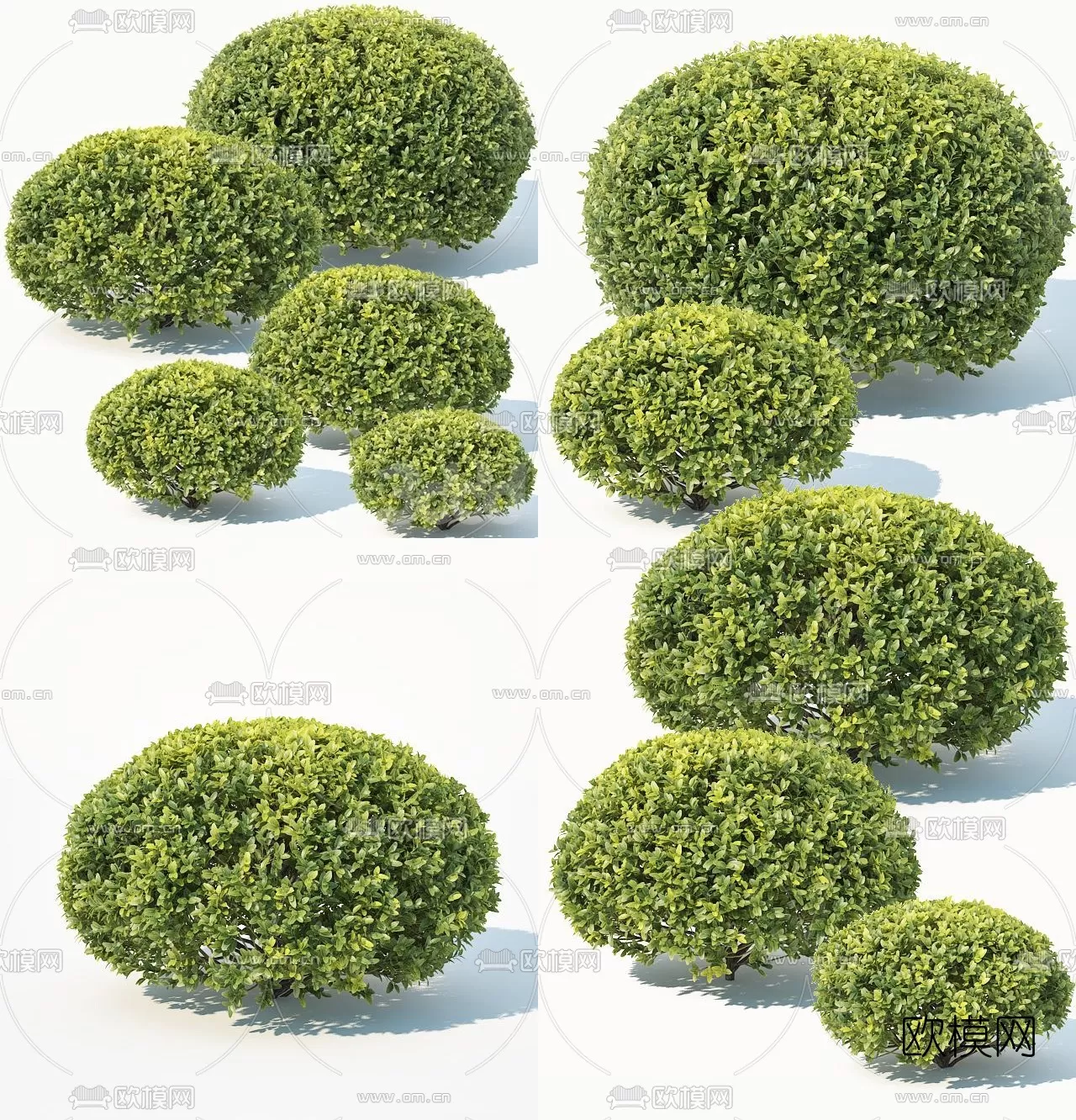 TREE – PLANTS – 3DS MAX MODELS – 040 – PRO