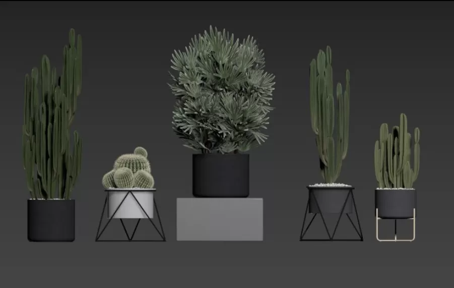 TREE – PLANTS – 3DS MAX MODELS – 185 – PRO