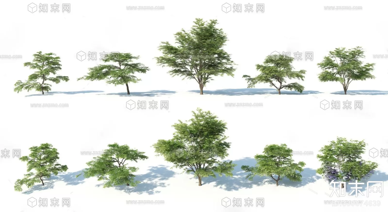 TREE – PLANTS – 3DS MAX MODELS – 190 – PRO