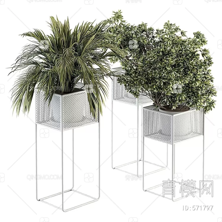 TREE – PLANTS – 3DS MAX MODELS – 217 – PRO
