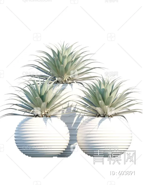 TREE – PLANTS – 3DS MAX MODELS – 222 – PRO