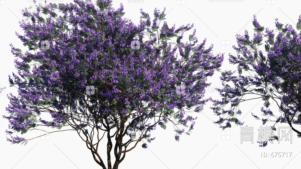 TREE – PLANTS – 3DS MAX MODELS – 228 – PRO