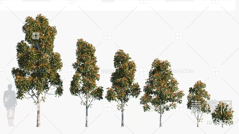 TREE – PLANTS – 3DS MAX MODELS – 229 – PRO