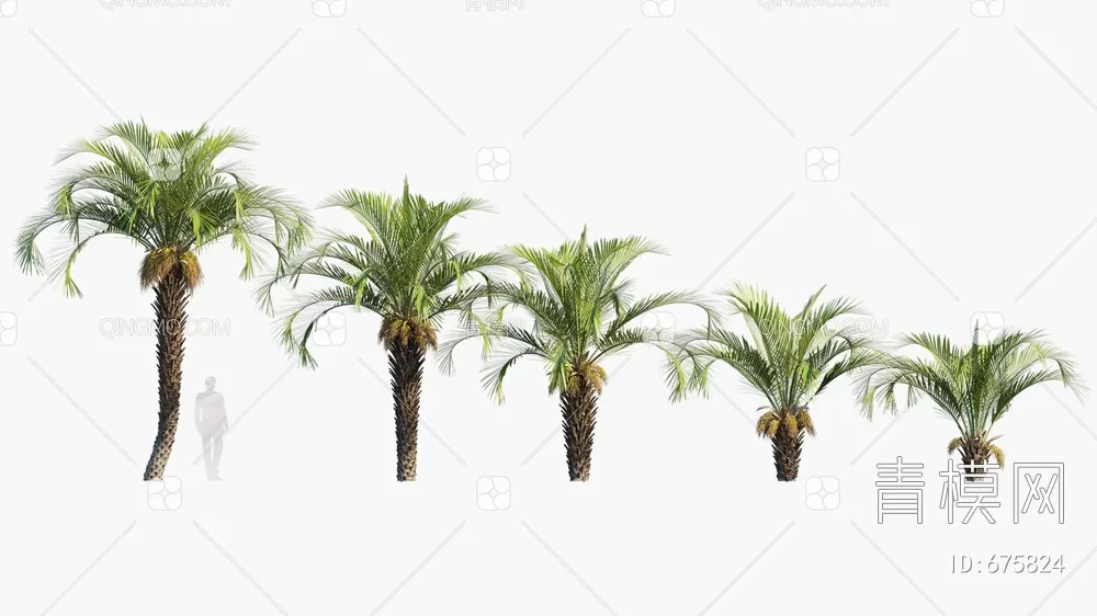 TREE – PLANTS – 3DS MAX MODELS – 239 – PRO