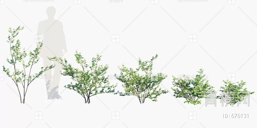 TREE – PLANTS – 3DS MAX MODELS – 247 – PRO