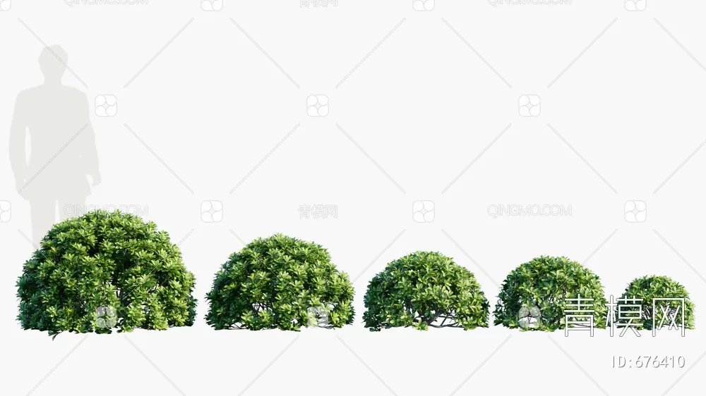 TREE – PLANTS – 3DS MAX MODELS – 251 – PRO