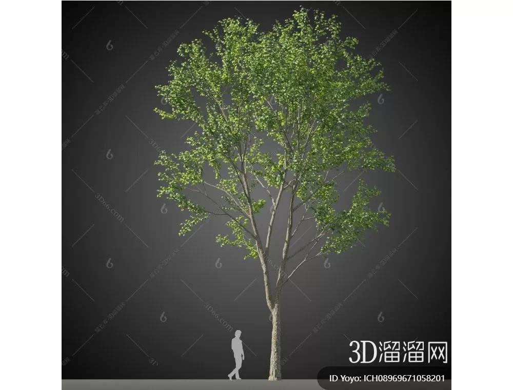 TREE – PLANTS – 3DS MAX MODELS – 294 – PRO