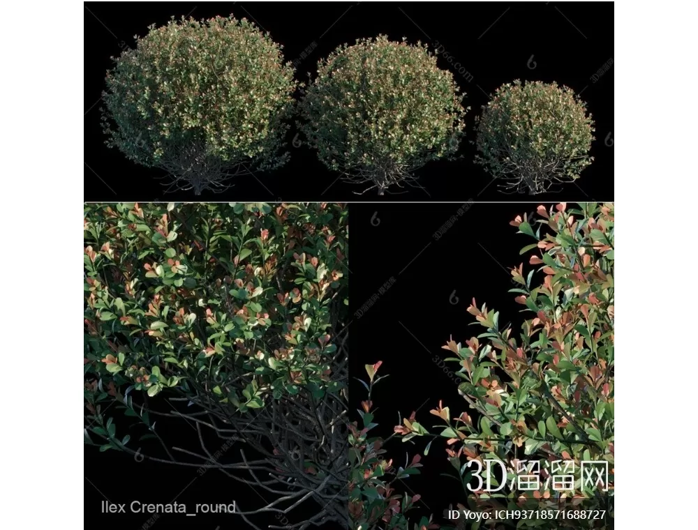 TREE – PLANTS – 3DS MAX MODELS – 300 – PRO