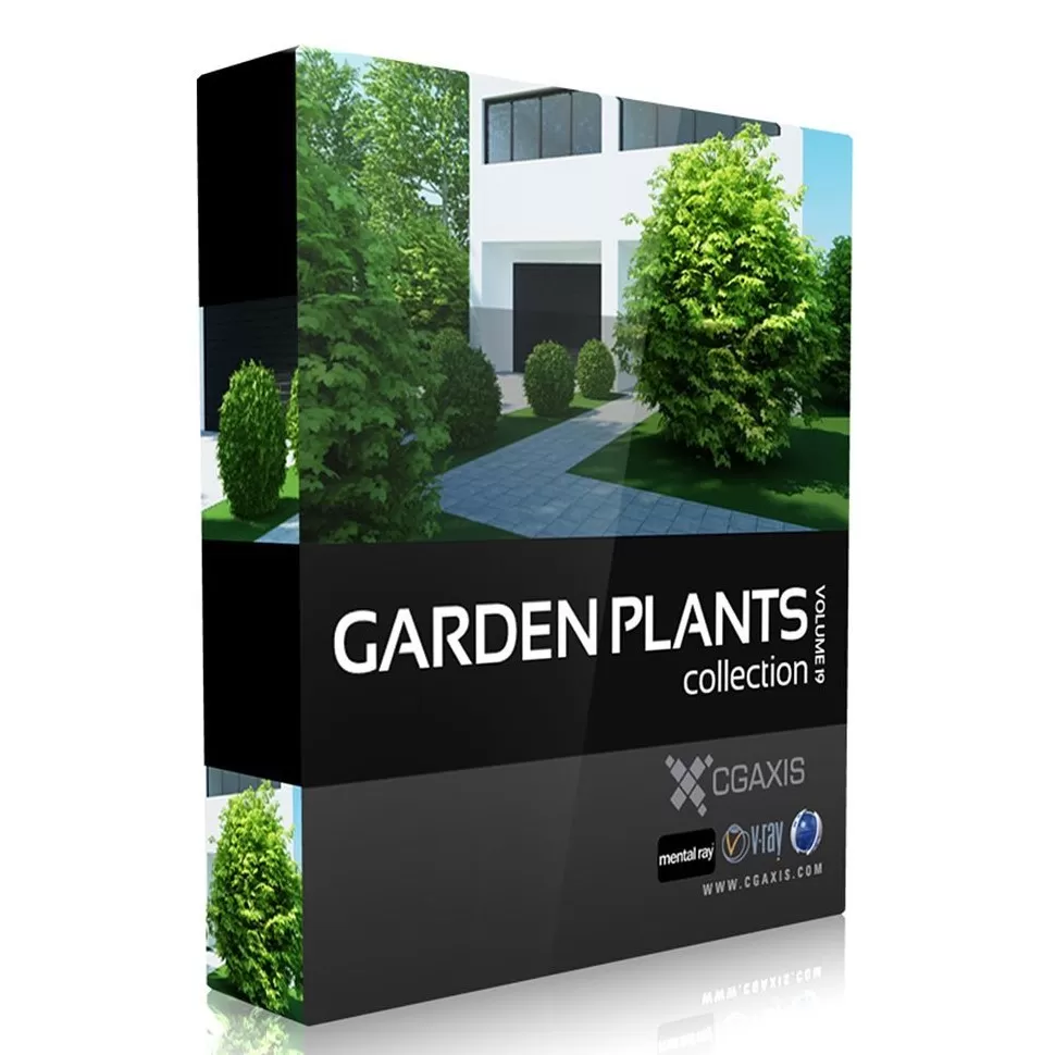 CGAxis Collections – CGAxis Models – Volume – 19 – Vray – PRO