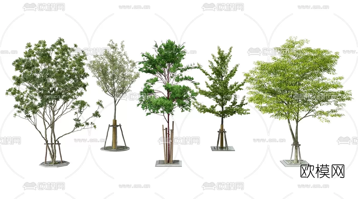 TREE – PLANTS – 3DS MAX MODELS – 005 – PRO