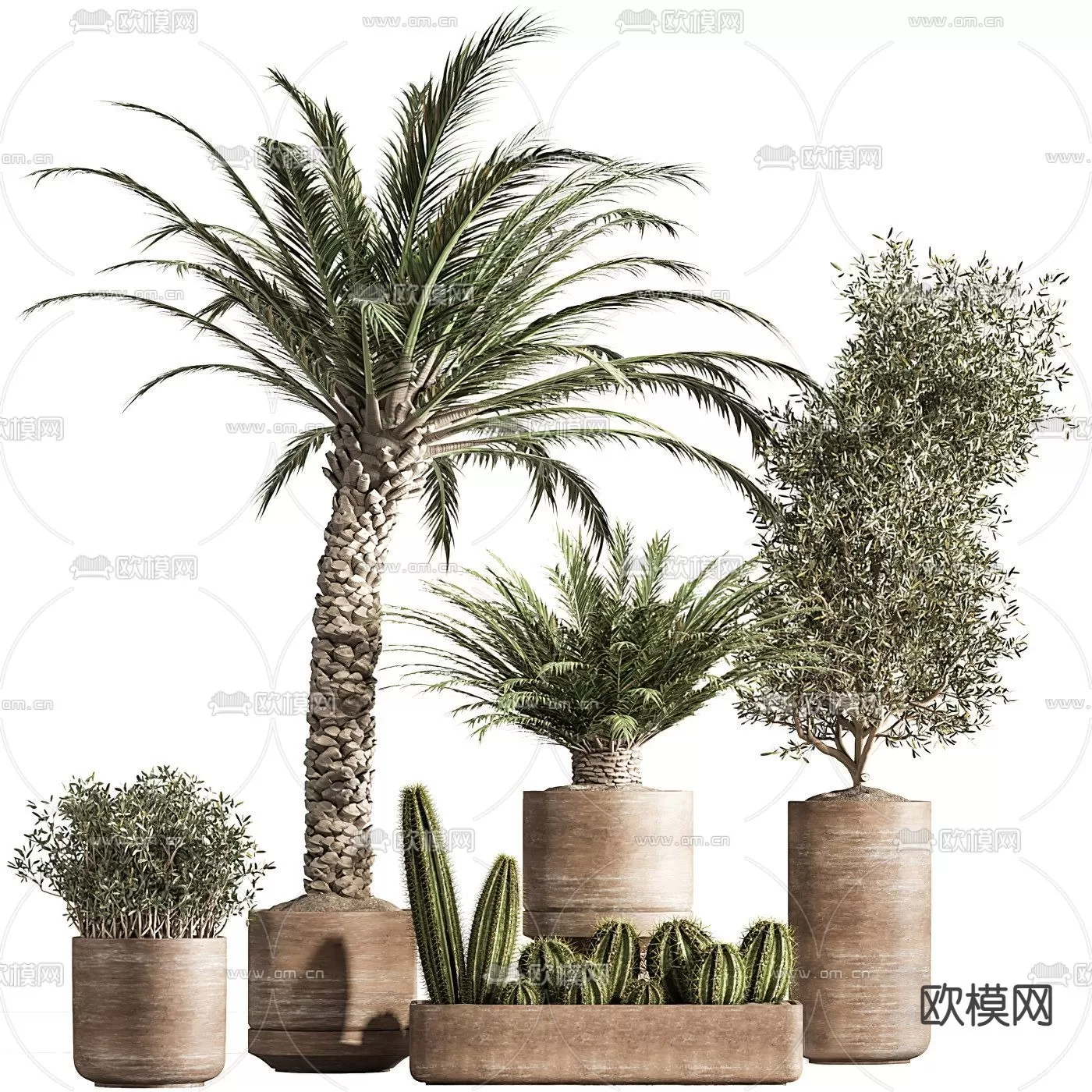 TREE – PLANTS – 3DS MAX MODELS – 091 – PRO