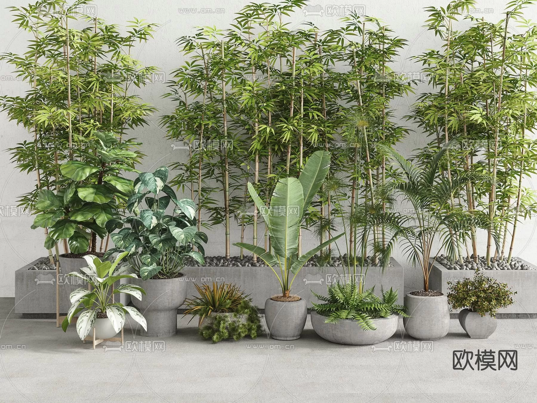 TREE – PLANTS – 3DS MAX MODELS – 106 – PRO