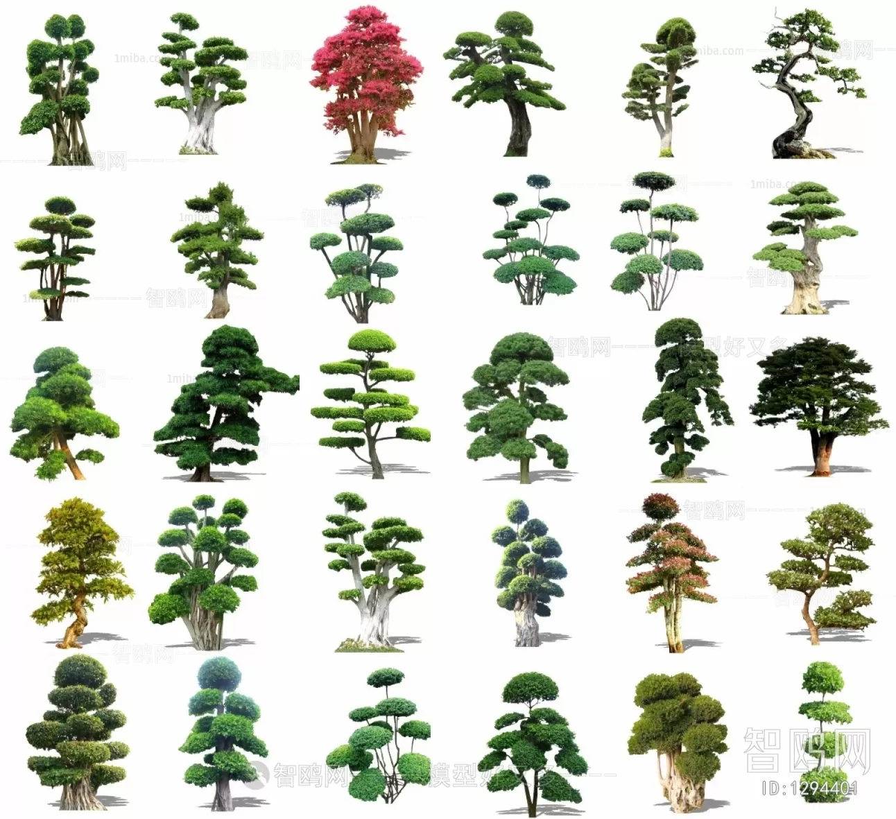 TREE – PLANTS – 3DS MAX MODELS – 167 – PRO