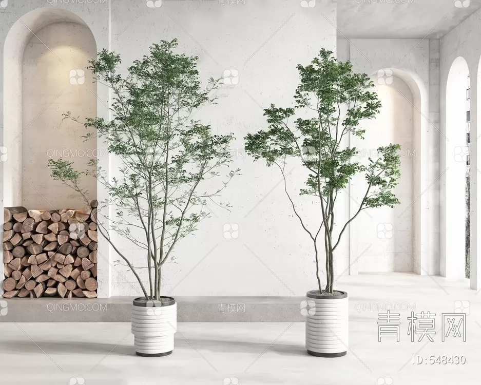 TREE – PLANTS – 3DS MAX MODELS – 205 – PRO