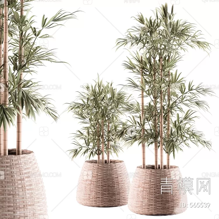 TREE – PLANTS – 3DS MAX MODELS – 210 – PRO