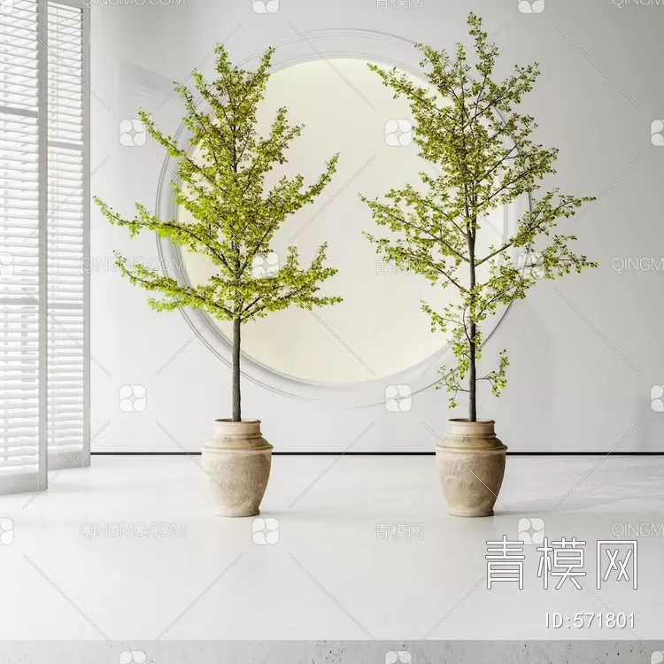 TREE – PLANTS – 3DS MAX MODELS – 218 – PRO