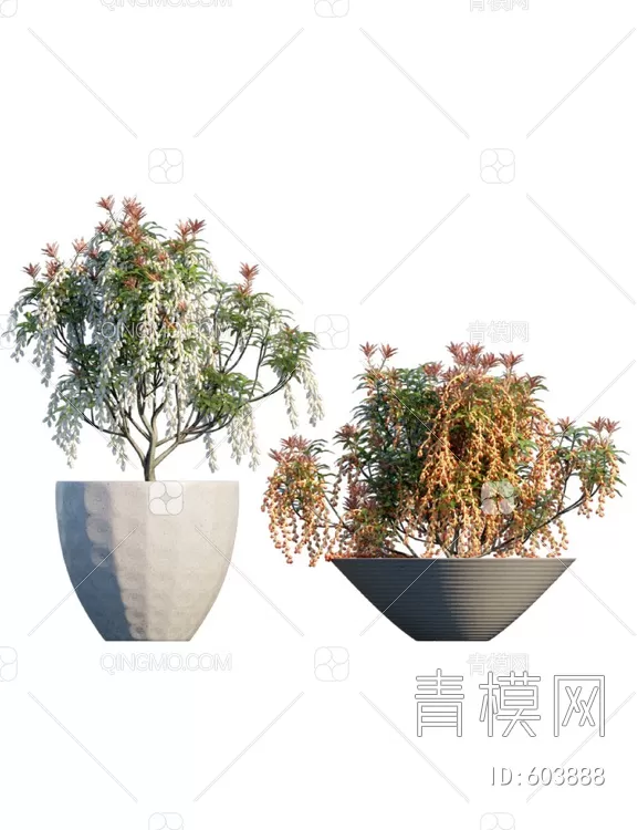 TREE – PLANTS – 3DS MAX MODELS – 221 – PRO