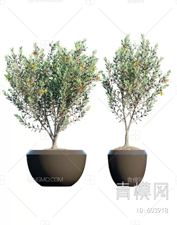 TREE – PLANTS – 3DS MAX MODELS – 223 – PRO