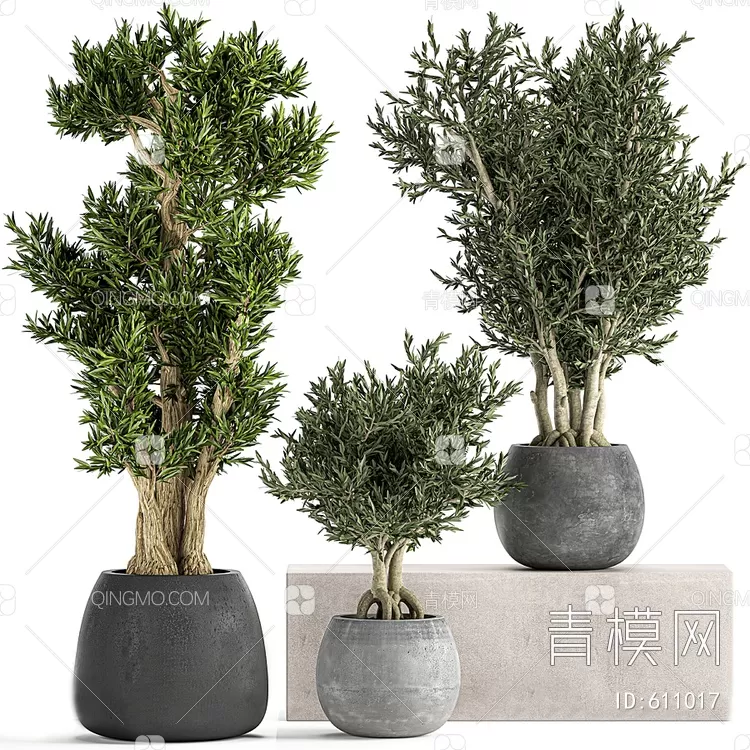 TREE – PLANTS – 3DS MAX MODELS – 224 – PRO