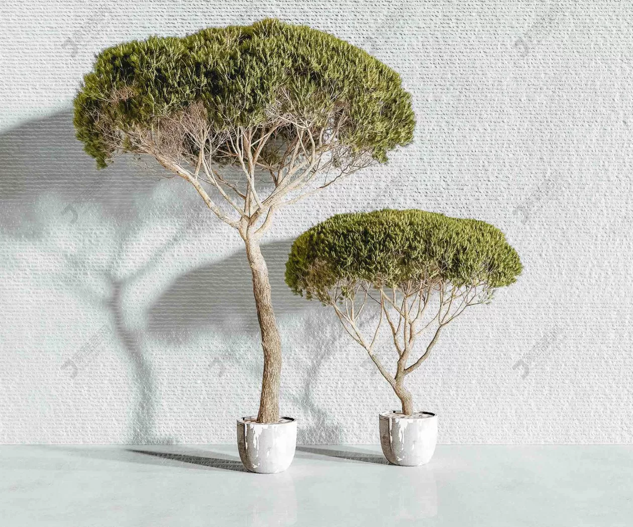 TREE – PLANTS – 3DS MAX MODELS – 226 – PRO