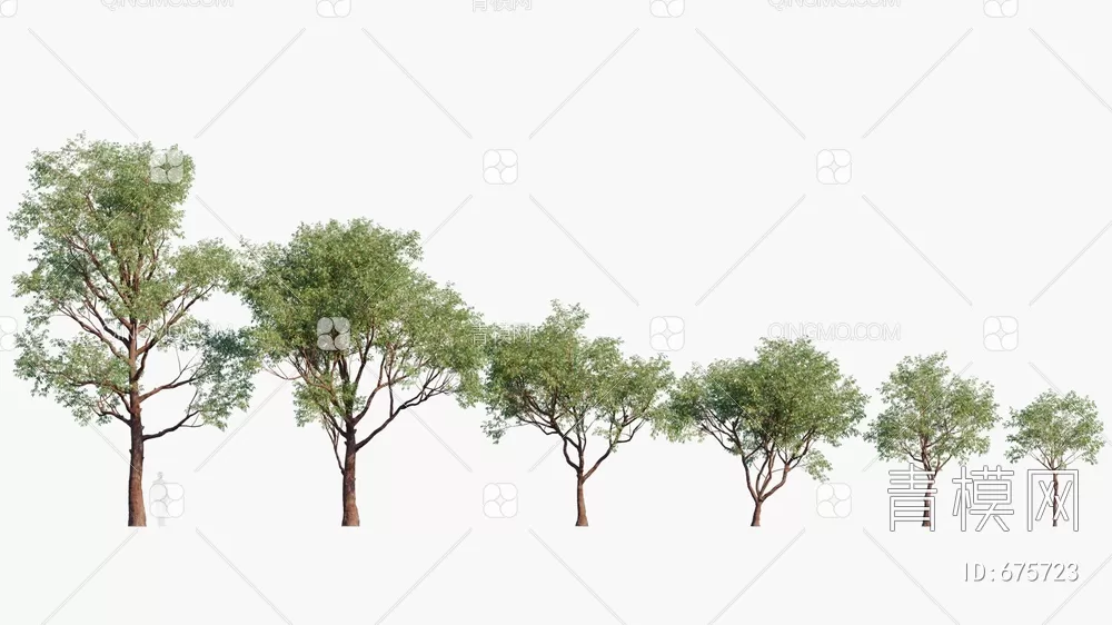 TREE – PLANTS – 3DS MAX MODELS – 230 – PRO