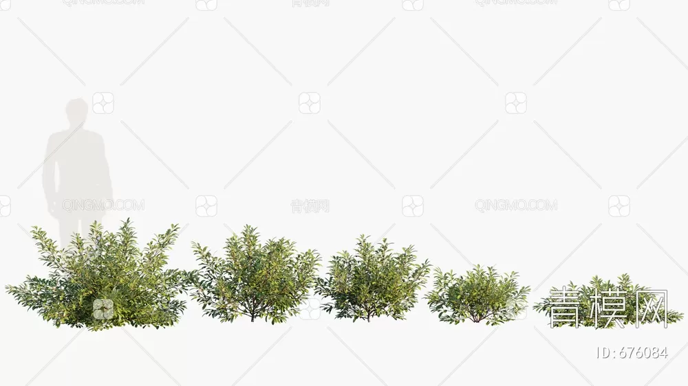 TREE – PLANTS – 3DS MAX MODELS – 240 – PRO