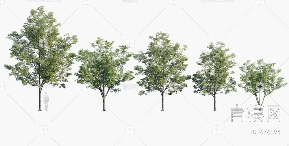 TREE – PLANTS – 3DS MAX MODELS – 241 – PRO