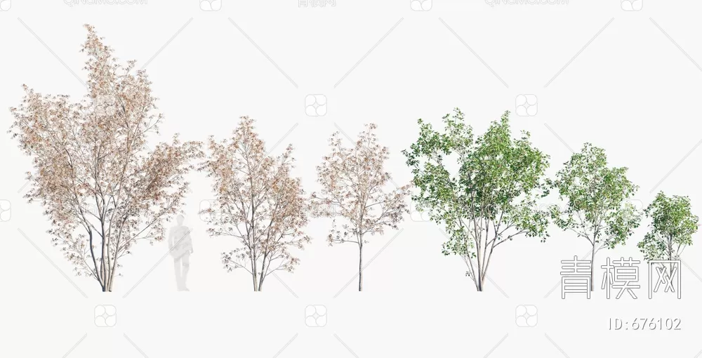 TREE – PLANTS – 3DS MAX MODELS – 243 – PRO