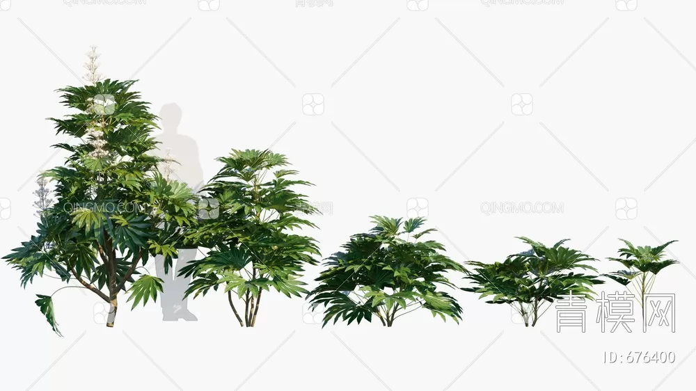 TREE – PLANTS – 3DS MAX MODELS – 248 – PRO