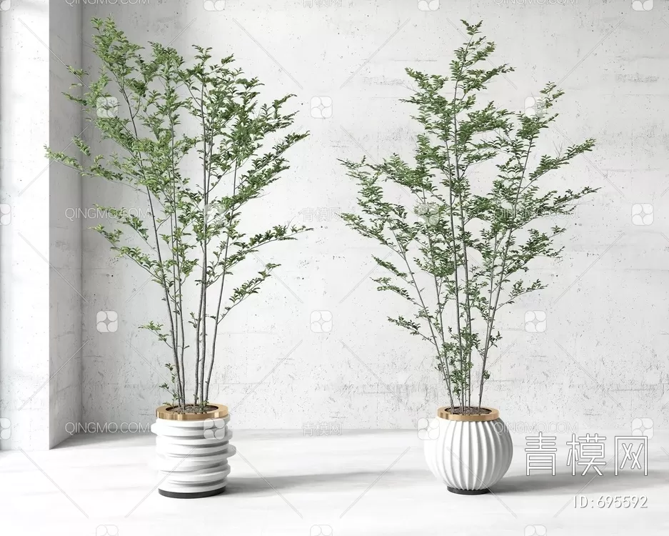 TREE – PLANTS – 3DS MAX MODELS – 257 – PRO