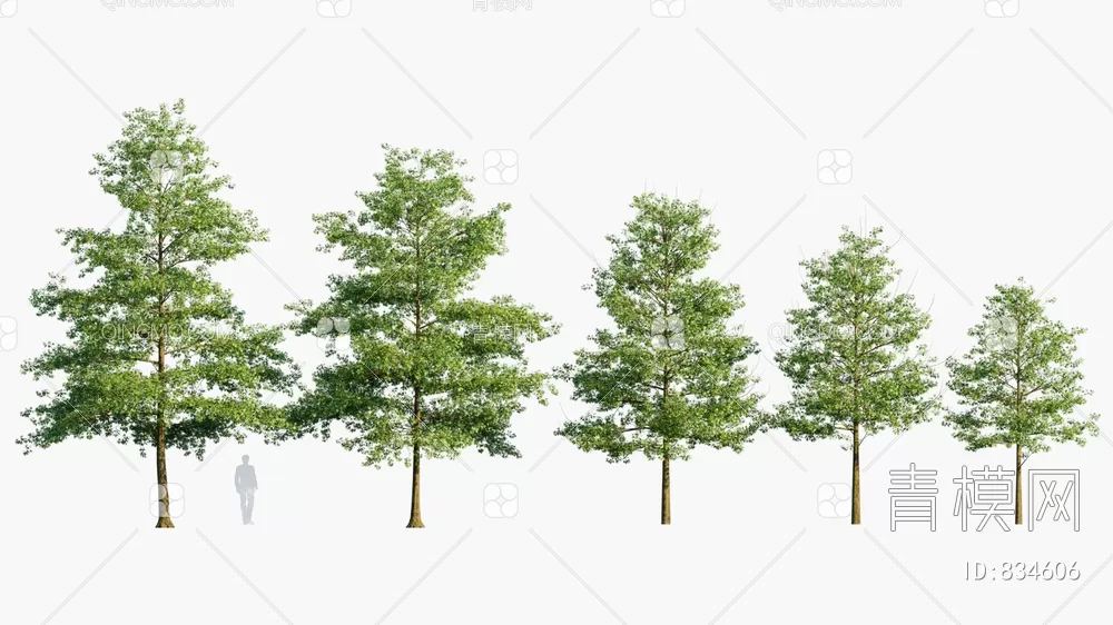 TREE – PLANTS – 3DS MAX MODELS – 270 – PRO